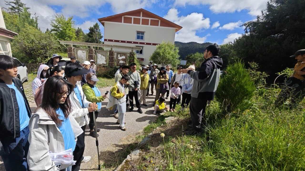 2026年暑期社会实践活动圆满结束